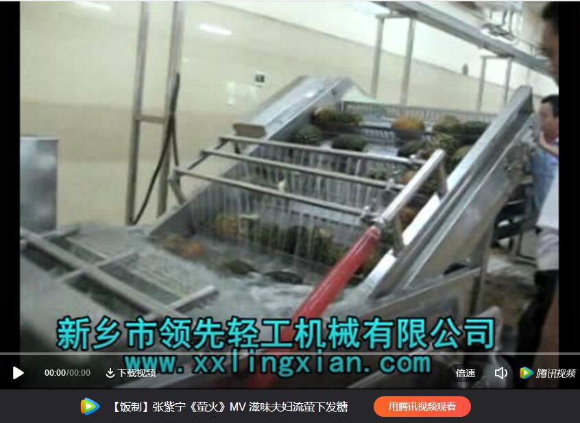 菠萝果汁果酒生产线