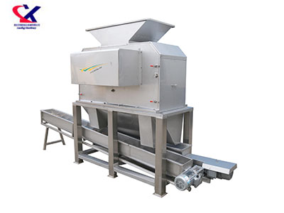 贵州火龙果剥皮榨汁机