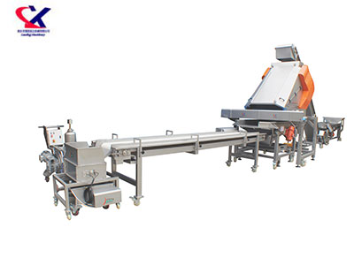 贵州葡萄除梗粒选生产线