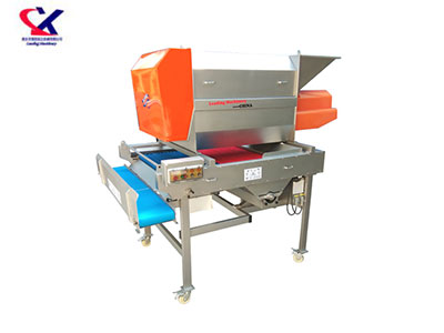 贵州转筒式葡萄除梗粒选一体机