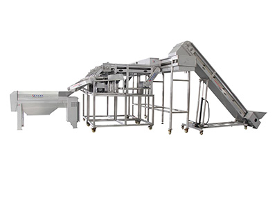 贵州百香果挖浆生产线