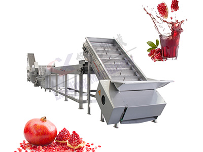 贵州石榴果汁生产线